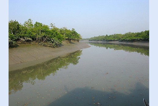 Viaggio in India 2008 - Sunderbans